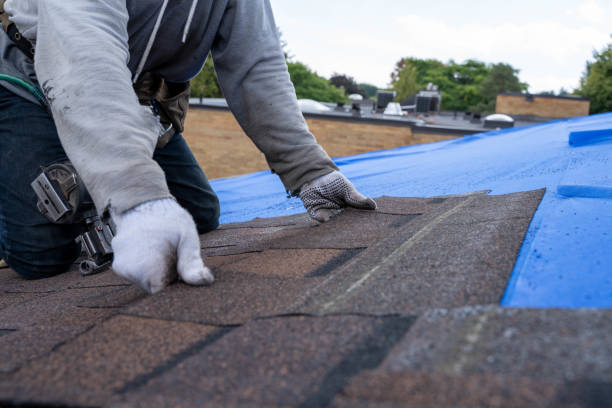 Best Chimney Flashing Repair  in Bertsch Oceanview, CA